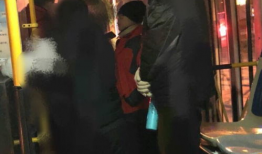 石家庄公交车最新爆料,最新线路调整与爆料揭秘