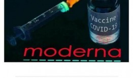 英国爆料病毒事件最新,揭秘疫情背后的真相与争议