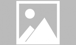 qq飞车手游最新爆料帝皇雄狮,帝皇雄狮荣耀降临！QQ飞车手游全新爆料揭秘